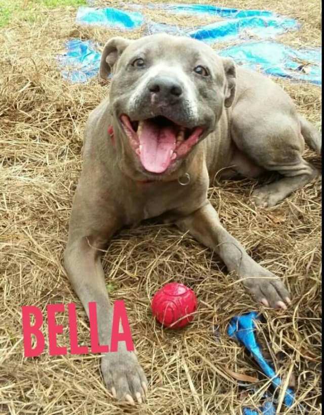 38135307_1876972205943740_1537525105725276160_n